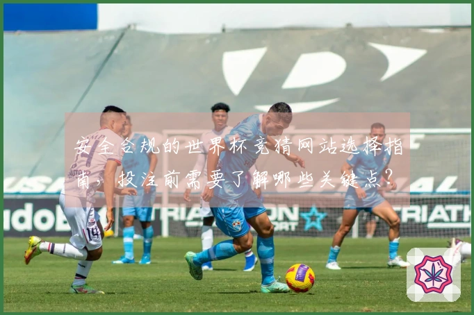 安全合规的世界杯竞猜网站选择指南，投注前需要了解哪些关键点？