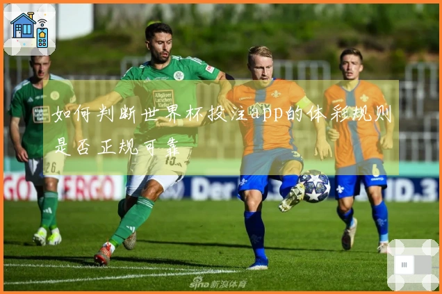 如何判断世界杯投注app的体彩规则是否正规可靠