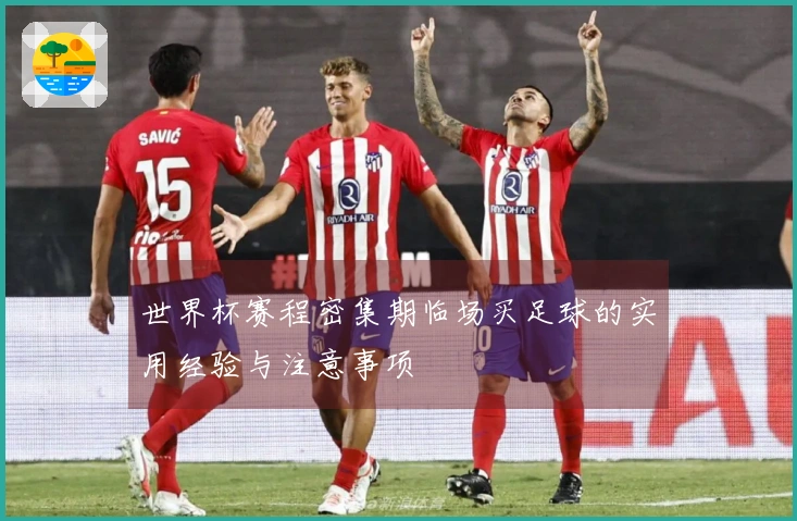 世界杯赛程密集期临场买足球的实用经验与注意事项