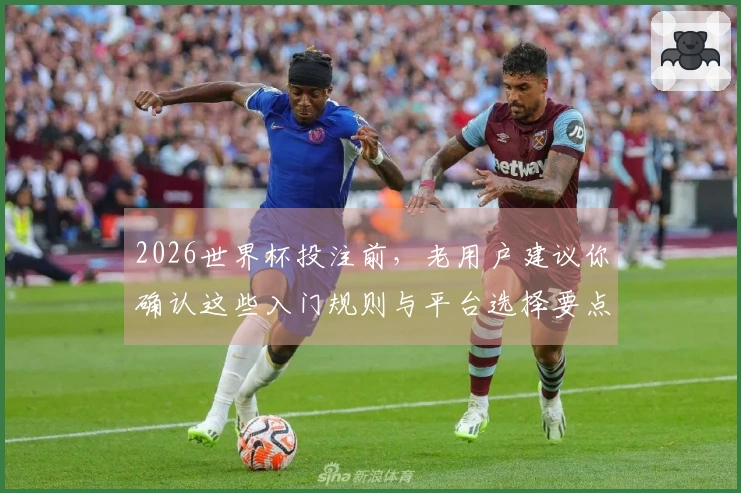 2026世界杯投注前，老用户建议你确认这些入门规则与平台选择要点